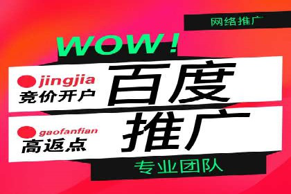 百度竞价运营实战技巧：案例分析与优化